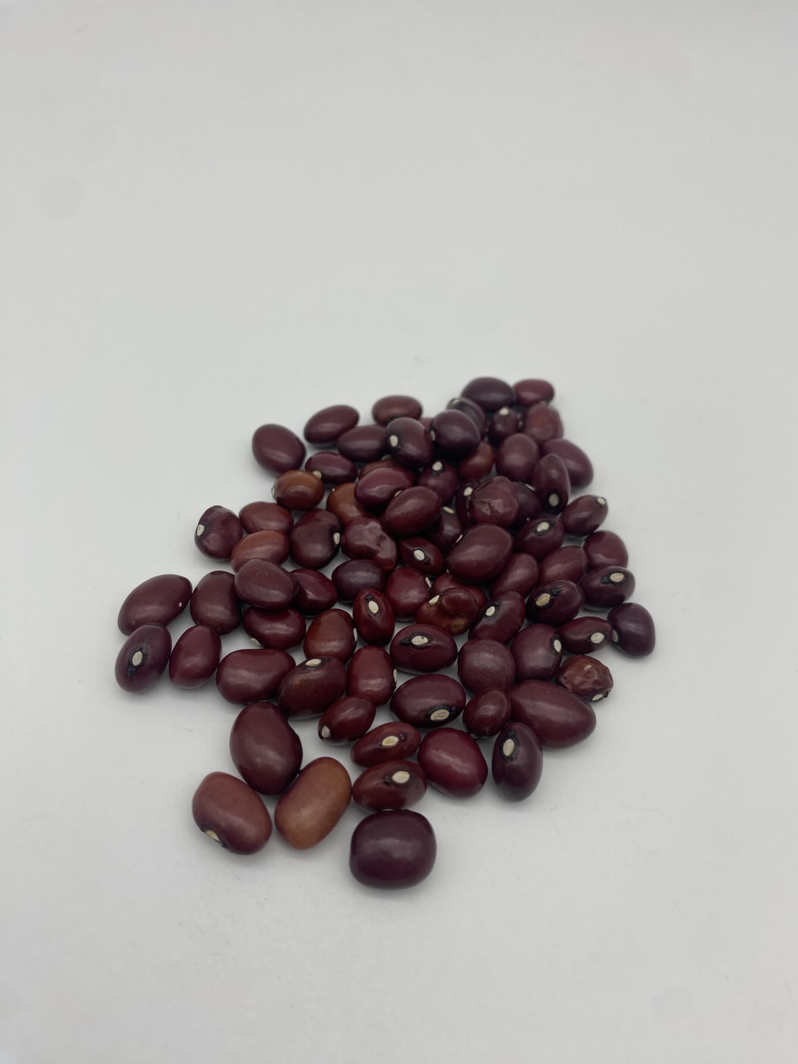 Red-Yellow Ibes Beans