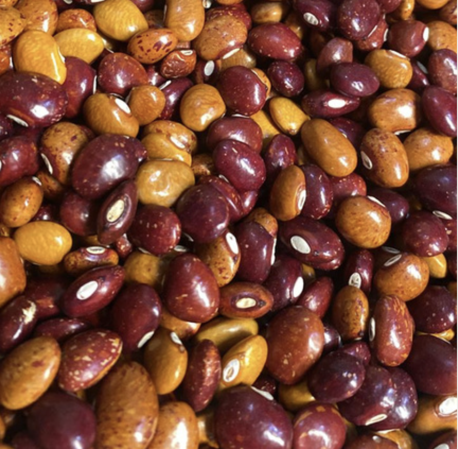 Red-Yellow Ibes Beans