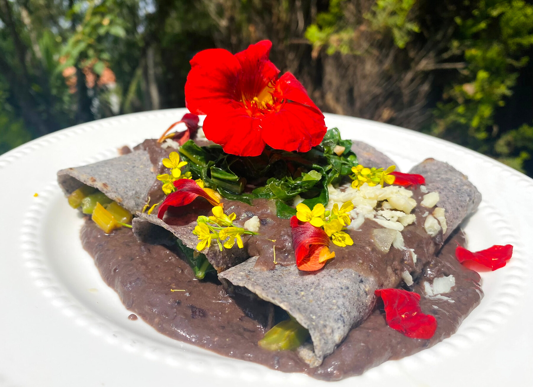 Native ingredients used in MilpaChef recipes