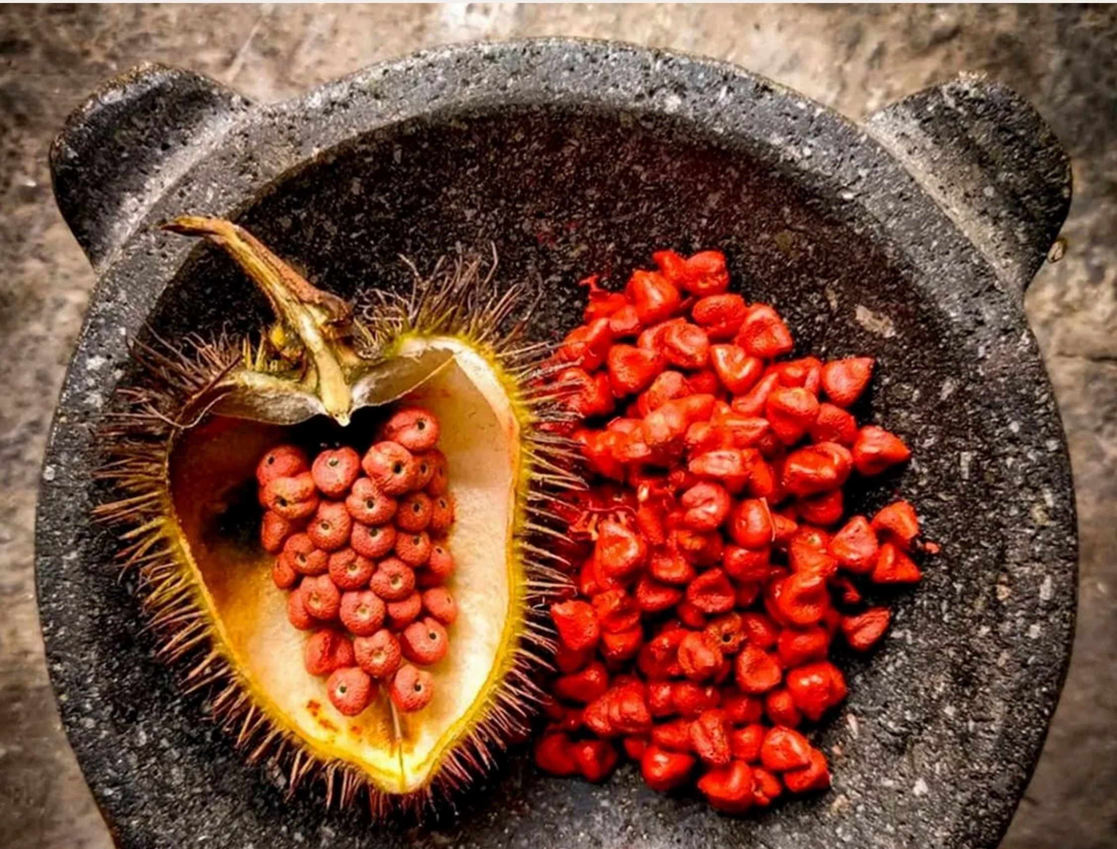 Agroecological Achiote Seed